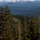 Mount Lassen, a volcano that dominates the landscape around the owl study site.